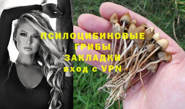 мдпв Майский