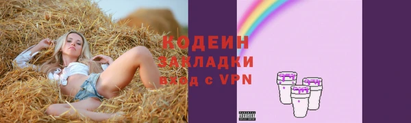 мдпв Майский