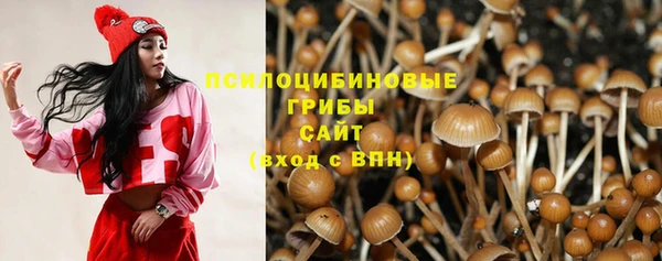 мдпв Майский