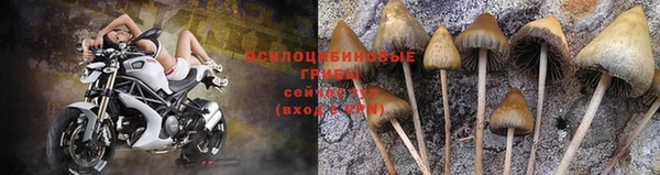 a pvp Магадан