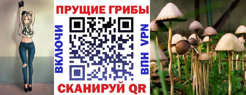 darknet официальный сайт  Урень  Псилоцибиновые грибы ЛСД 